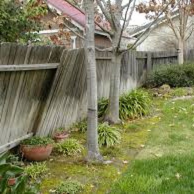 How to Replace a Broken Fence Panel
