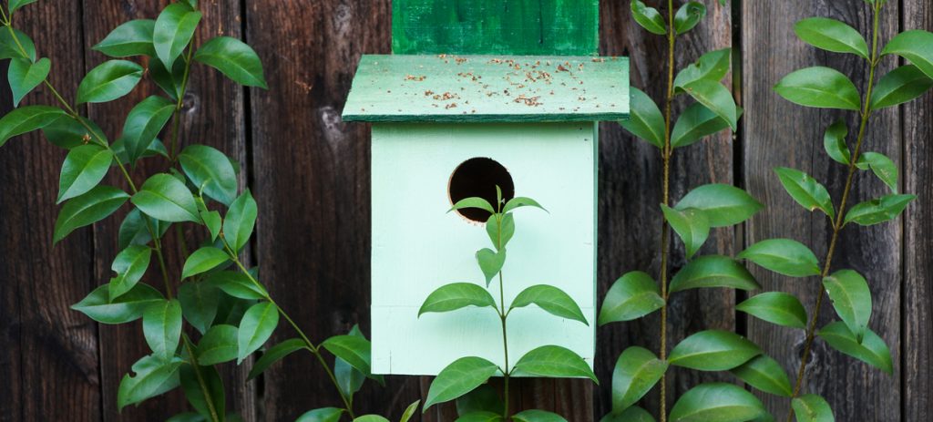 Green birdhouse hanging on reclaimed wood fence surrounded by lush climbing foliage.