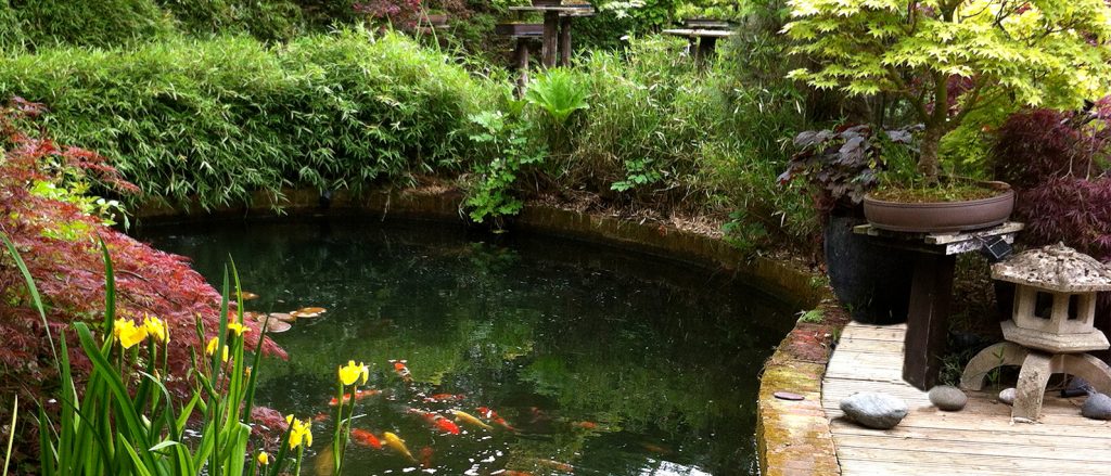 Image of Japanese garden with koi pond, bamboo, maples, bonsai